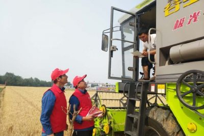 河北電力簡訊：芒種忙忙割，農(nóng)家樂啟鐮