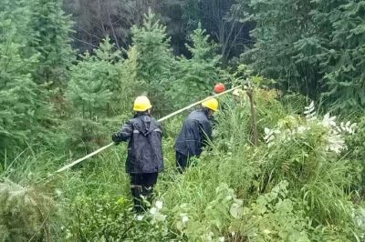 過(guò)泥濘，涉洪水，穿山谷，冒雨巡線護(hù)電，第一時(shí)間處理災(zāi)情險(xiǎn)情