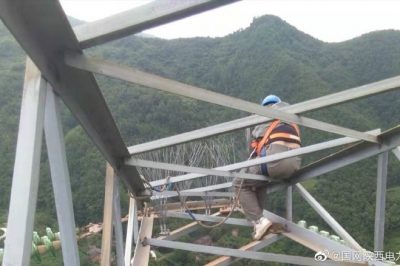 330千伏線路安裝防鳥刺，消除線路鳥害隱患