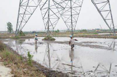 架設(shè)線路、安裝電纜引下線，解決農(nóng)民秸稈焚燒問題
