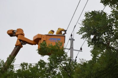 沂源縣供電公司冒高溫完成10千伏帶電T接各支線引線任務