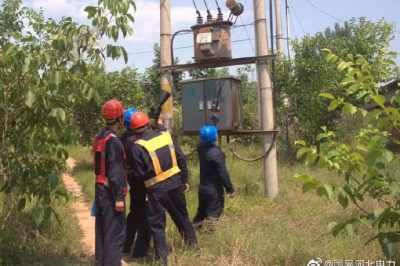 10千伏洛平513線路開展雨后特巡，力保供電可靠