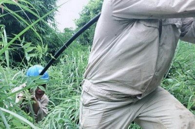 南川區(qū)供電公司緊急搶修被雷擊斷落在路上的10千伏鋒秧線8-10號桿A、C相