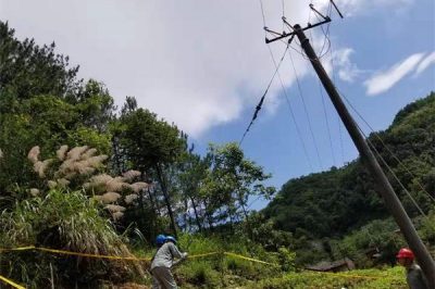 麻家渡供電所對(duì)轄區(qū)10kV寶63牌樓線進(jìn)行巡視