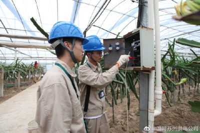對(duì)火龍果種植基地內(nèi)的用電設(shè)備進(jìn)行安全隱患檢查