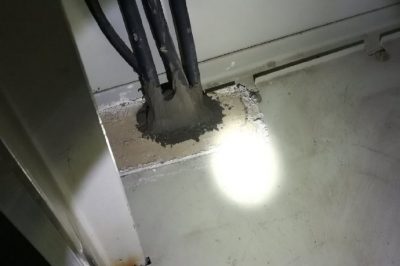小動物，變電站非請勿來