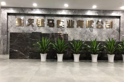 重慶有多少電廠？
