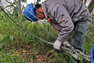 肇事拉線傷、電工搶修忙