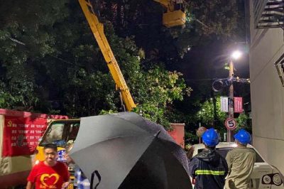 無(wú)懼大風(fēng)，連夜搶修供電線路