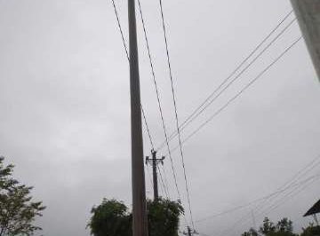 暴雨致電桿歪斜，供電員工搶修扶正
