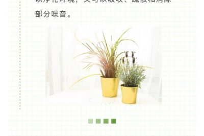 家里冰箱洗衣機(jī)噪音越來越大？讓它們安靜下來很簡單！