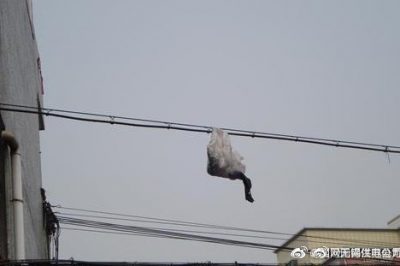 你的隨手一“拋”，可能導致跳閘停電！