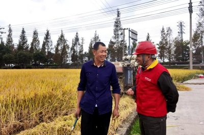 對涉農(nóng)電氣設備、線路進行特維特巡