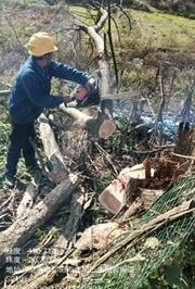 10千伏法高線新澤村火巖上臺(tái)區(qū)進(jìn)行低壓線路砍青掃障工作