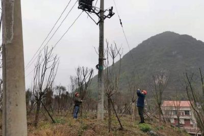 農(nóng)電檢修人員對小石線、高石線等10千伏線路進(jìn)行集中巡視測溫