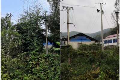 對所轄區(qū)域內(nèi)6條10千伏線路通道再次進(jìn)行巡視