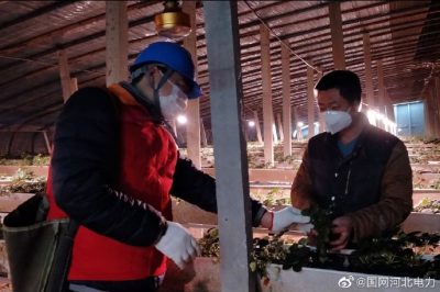 為果蔬大棚檢查供電線路、開關(guān)、照明燈具，以及水泵、卷簾機(jī)等設(shè)備